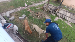 Unidad Canina de Búsqueda y Rescate